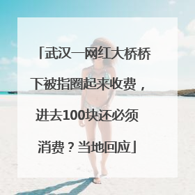 武汉一网红大桥桥下被指圈起来收费，进去100块还必须消费？当地回应