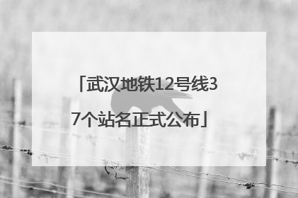 武汉地铁12号线37个站名正式公布