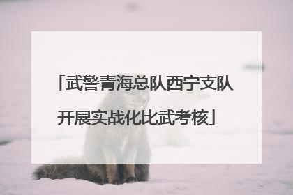 武警青海总队西宁支队开展实战化比武考核