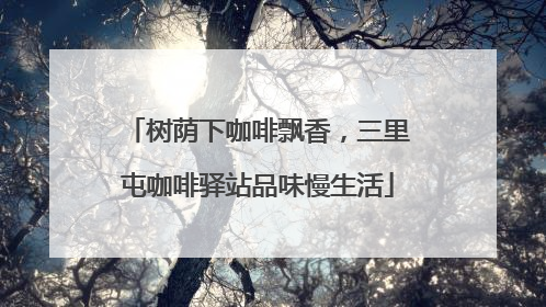 树荫下咖啡飘香，三里屯咖啡驿站品味慢生活