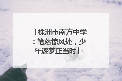 株洲市南方中学：笔落惊风处，少年逐梦正当时