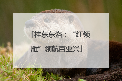 桂东东洛：“红领雁”领航百业兴