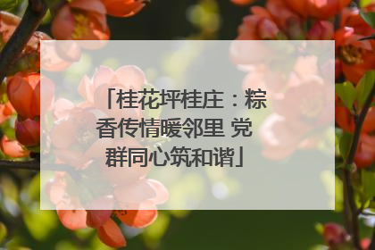 桂花坪桂庄：粽香传情暖邻里 党群同心筑和谐