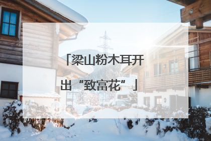 梁山粉木耳开出“致富花”