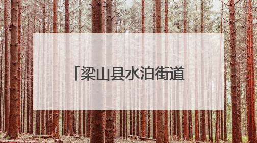 梁山县水泊街道为民服务中心开展惠民政策宣传