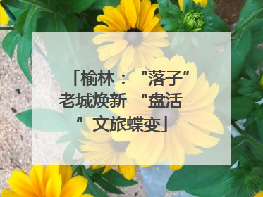 榆林：“落子”老城焕新 “盘活”文旅蝶变