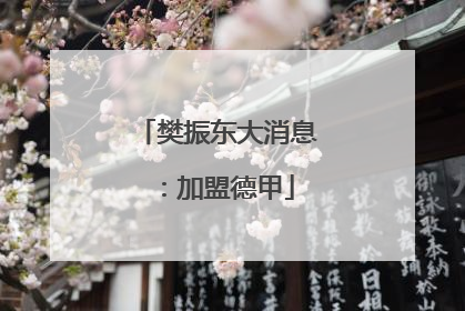 樊振东大消息：加盟德甲