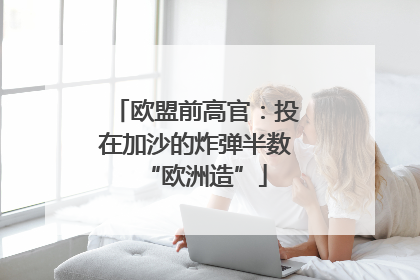 欧盟前高官：投在加沙的炸弹半数“欧洲造”