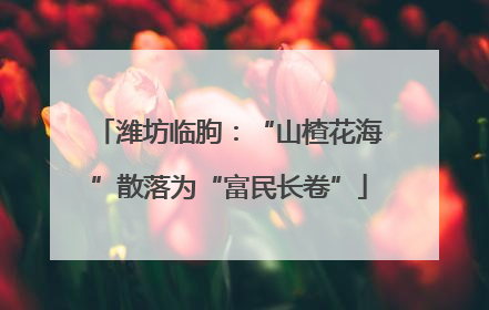 潍坊临朐：“山楂花海”散落为“富民长卷”