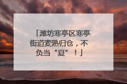 潍坊寒亭区寒亭街道麦熟归仓，不负当“夏”！