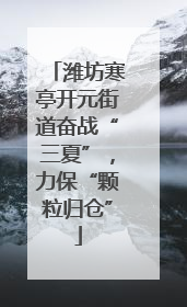 潍坊寒亭开元街道奋战“三夏”，力保“颗粒归仓”