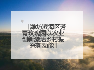 潍坊滨海区芳青玫瑰园以农业创新激活乡村振兴新动能