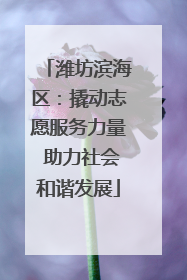 潍坊滨海区：撬动志愿服务力量 助力社会和谐发展