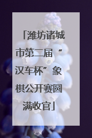 潍坊诸城市第二届“汉车杯”象棋公开赛圆满收官