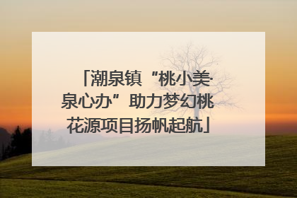 潮泉镇“桃小美·泉心办”助力梦幻桃花源项目扬帆起航