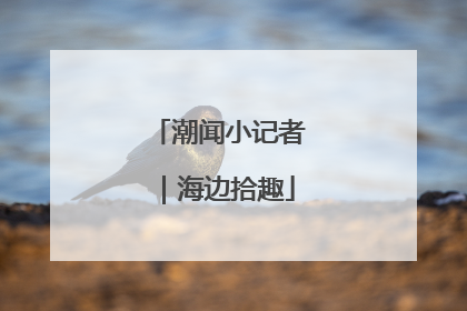 潮闻小记者｜海边拾趣