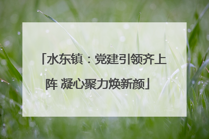 水东镇：党建引领齐上阵 凝心聚力焕新颜