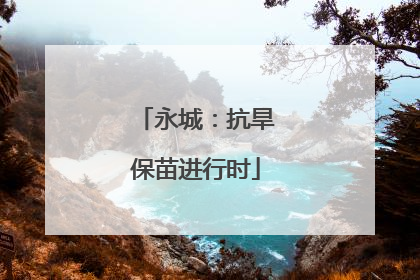 永城：抗旱保苗进行时