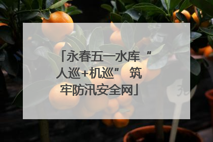 永春五一水库“人巡+机巡” 筑牢防汛安全网