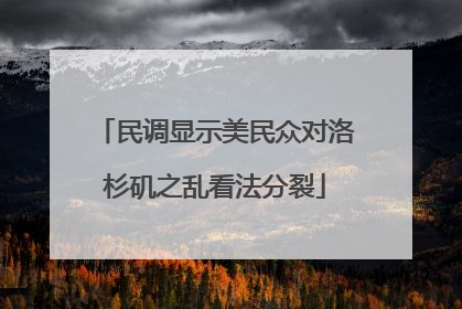 民调显示美民众对洛杉矶之乱看法分裂