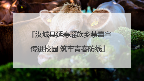 汝城县延寿瑶族乡禁毒宣传进校园 筑牢青春防线