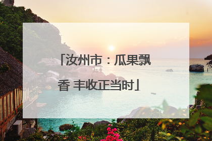 汝州市：瓜果飘香 丰收正当时