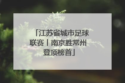 江苏省城市足球联赛丨南京胜常州 登顶榜首