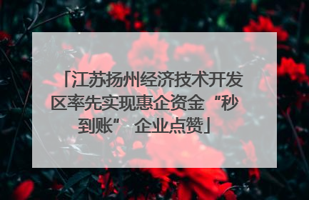 江苏扬州经济技术开发区率先实现惠企资金“秒到账” 企业点赞