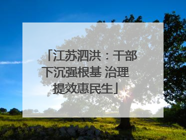 江苏泗洪：干部下沉强根基 治理提效惠民生