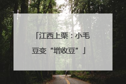 江西上栗：小毛豆变“增收豆”