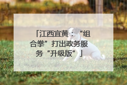 江西宜黄：“组合拳”打出政务服务“升级版”