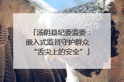 汤阴县纪委监委：嵌入式监督守护群众“舌尖上的安全”