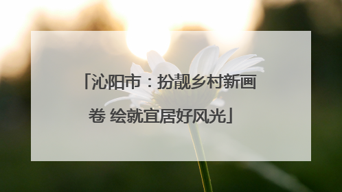沁阳市：扮靓乡村新画卷 绘就宜居好风光