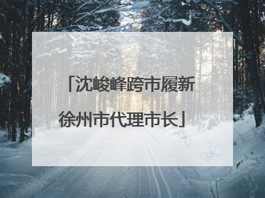 沈峻峰跨市履新徐州市代理市长