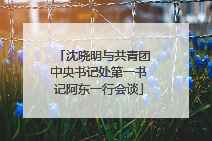 沈晓明与共青团中央书记处第一书记阿东一行会谈
