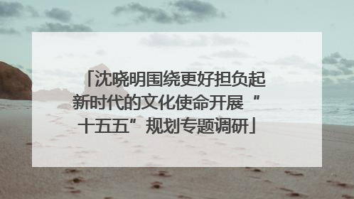 沈晓明围绕更好担负起新时代的文化使命开展“十五五”规划专题调研