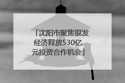 沈阳市聚焦银发经济释放530亿元投资合作机会