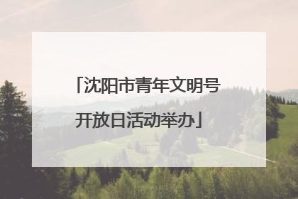 沈阳市青年文明号开放日活动举办