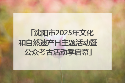 沈阳市2025年文化和自然遗产日主题活动暨公众考古活动季启幕