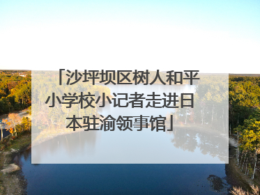 沙坪坝区树人和平小学校小记者走进日本驻渝领事馆