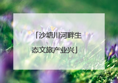 沙塘川河畔生态文旅产业兴