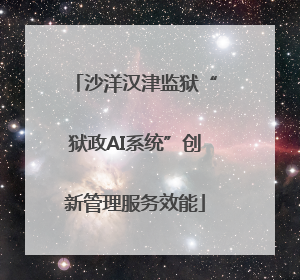 沙洋汉津监狱“狱政AI系统”创新管理服务效能