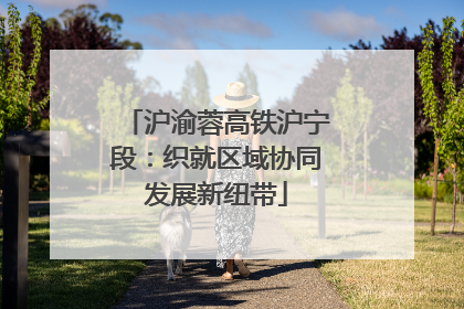 沪渝蓉高铁沪宁段：织就区域协同发展新纽带