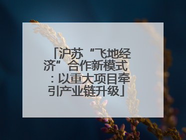 沪苏“飞地经济”合作新模式：以重大项目牵引产业链升级