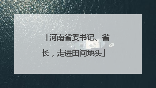 河南省委书记、省长，走进田间地头