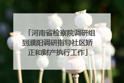 河南省检察院调研组到濮阳调研指导社区矫正和财产执行工作