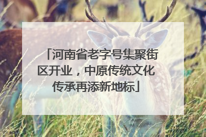 河南省老字号集聚街区开业，中原传统文化传承再添新地标