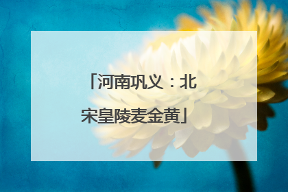 河南巩义：北宋皇陵麦金黄
