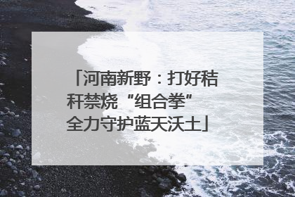 河南新野：打好秸秆禁烧“组合拳” 全力守护蓝天沃土