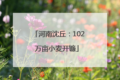 河南沈丘：102 万亩小麦开镰